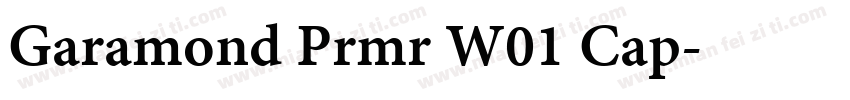 Garamond Prmr W01 Cap字体转换